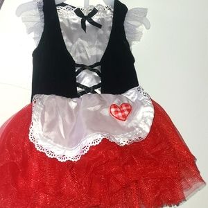 Little Red Riding hood costume
